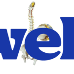 Herniated Disc (Skeleton)