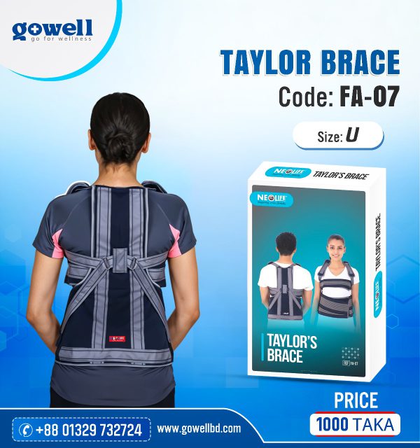 Back view of Taylor Brace worn on spine