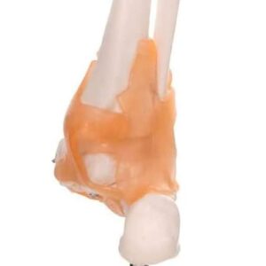 31QZQ8 VtvL AC SL1001