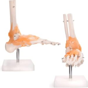 41Pev6TXOmL AC SL1001