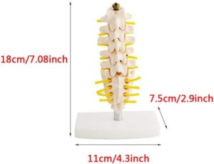 519+2H3IB0L AC SL1000