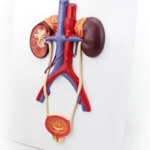 51D1NjV+aGL AC SL1001