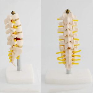 51cIotYJH4L AC SL1000