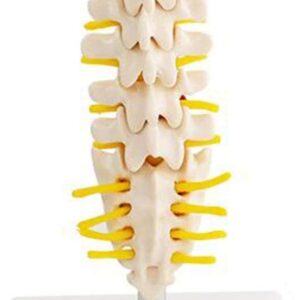 51kktOcjwFL AC SL1000