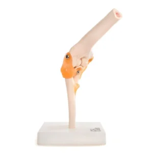 XC 112 P03 0d4487c3 536c 4520 811d d1438b61d3ea 5000x