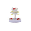 Lumbar Disc Model