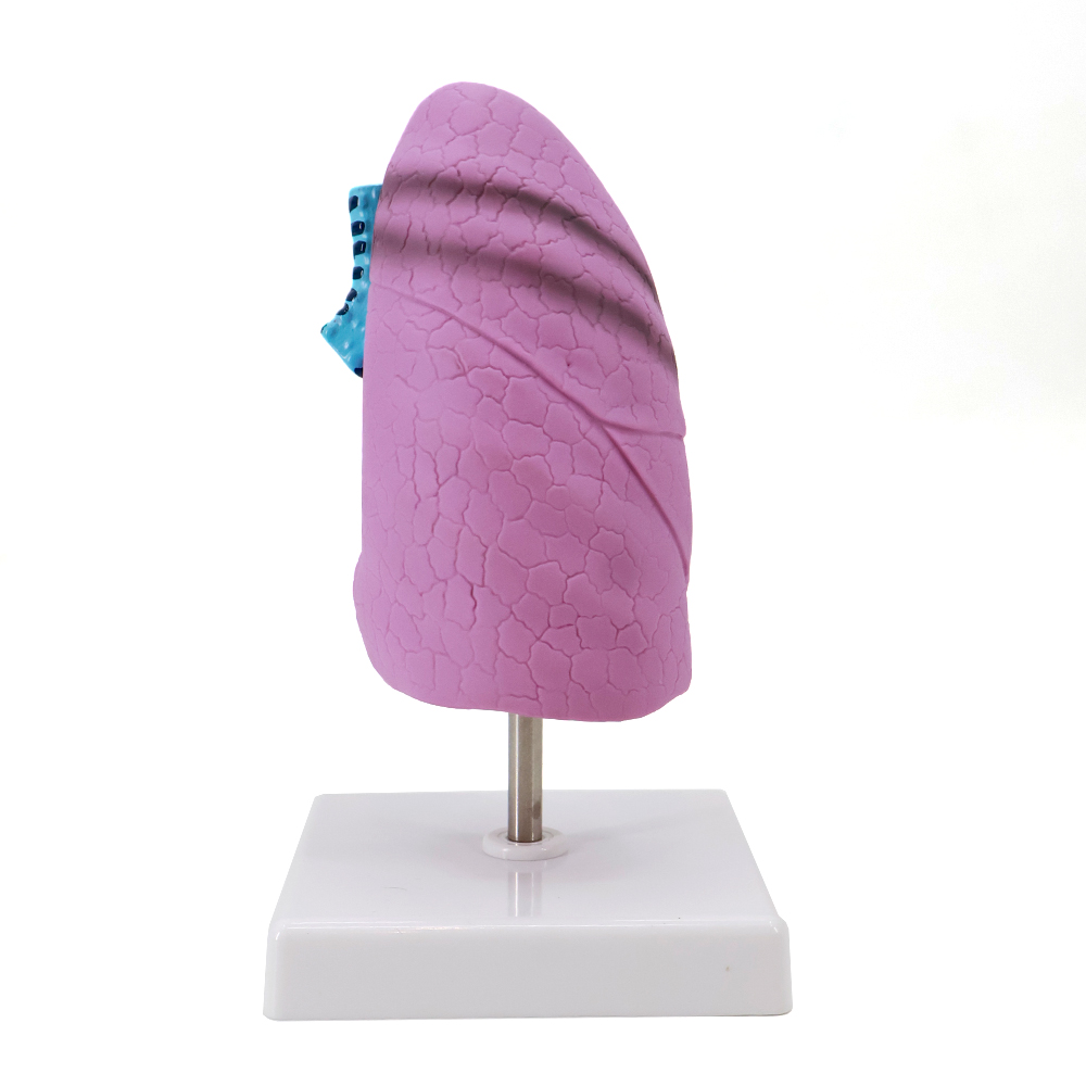 02 (15)