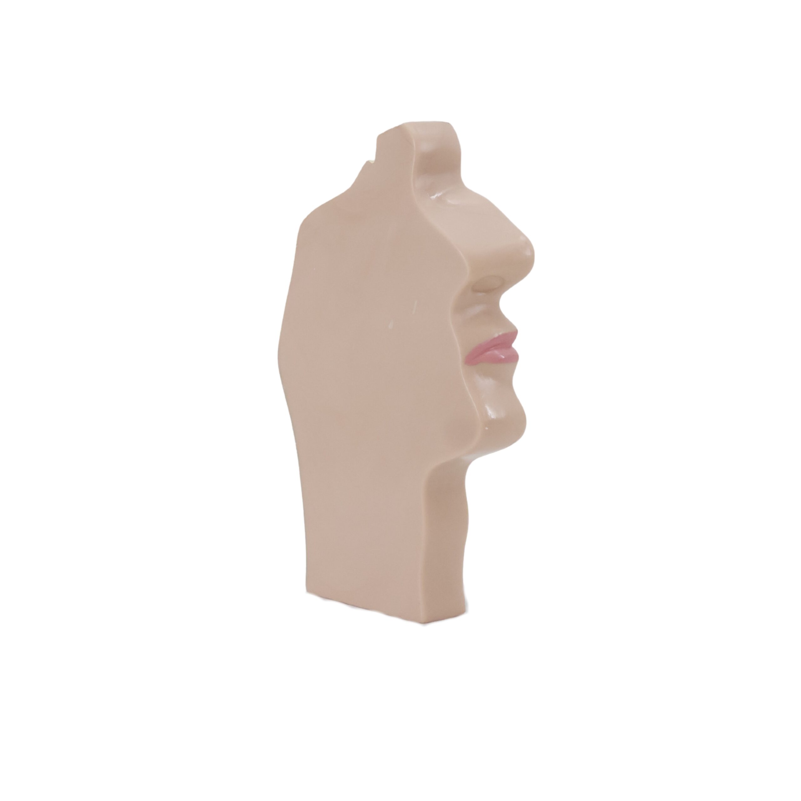 Nasal Cavity Throat Anatomy Model