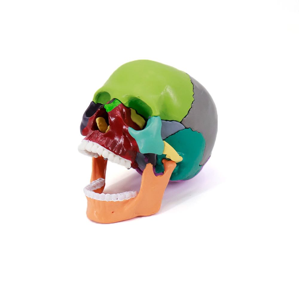 05 (11)