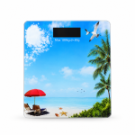 digital weight scale G-6