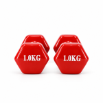 Vinyl Coated Dumbbell (1Kg)