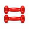 Vinyl Coated Dumbbell (1Kg)_01
