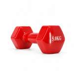 Vinyl Coated Dumbbell (5Kg)