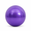 Yoga PVC Fitness Exercise Ball